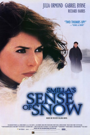冰雪谜案 (1997)