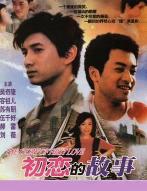 初恋的故事 (2001)