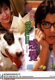 重庆爱情感觉 (1996)