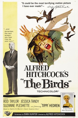 群鸟 (1963)