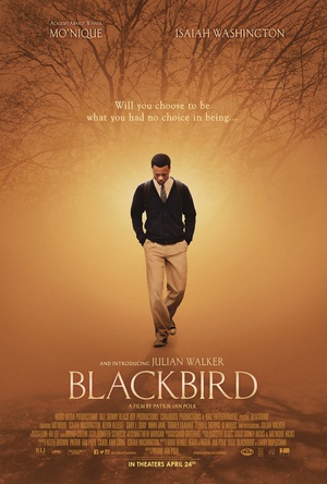黑鸟 (2014)