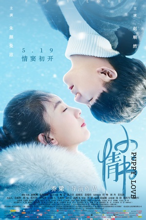 小情书 (2017)