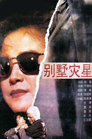 别墅灾星 (1991)