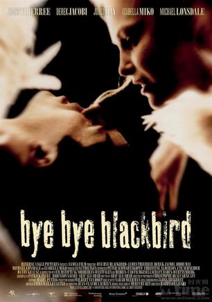 别了，黑鸟 (2005)