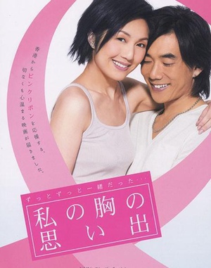 天生一对 (2006)