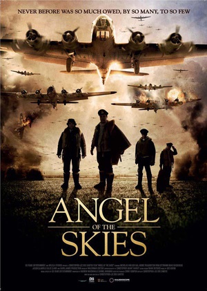 空中的天使 (2013)