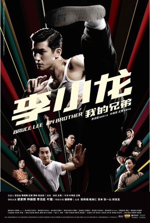 李小龙我的兄弟 (2010)