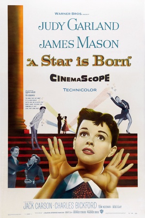 一个明星的诞生 (1954)