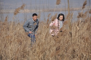 天鹅城之恋 (2011)