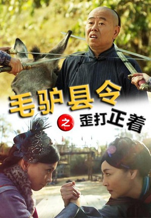 毛驴县令之歪打正着 (2014)