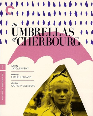 瑟堡的雨伞 (1964)
