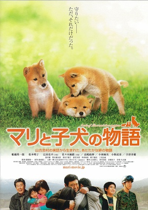 爱犬的奇迹 (2007)