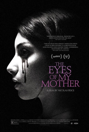 母亲的双眼 (2016)