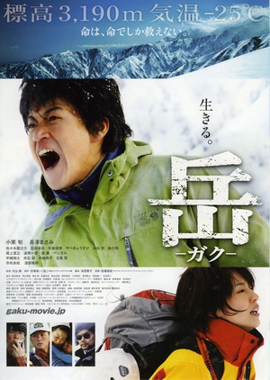 岳：冰峰救援 (2011)
