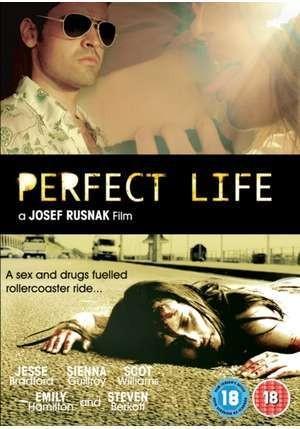 完美生活 (2010)