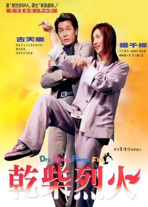 干柴烈火 (2002)