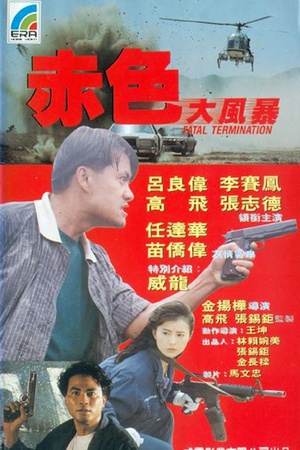 平凡英雄 (1990)