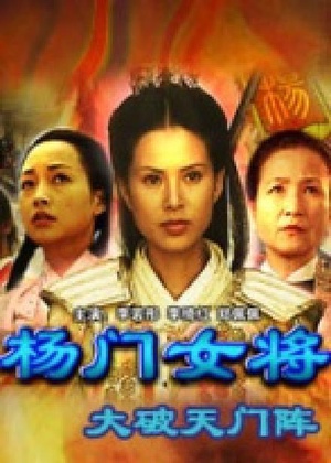 杨门女将之大破天门阵 (2001)