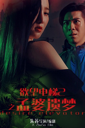 欲望电梯2孟婆遗梦 (2016)