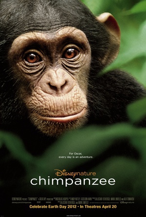 黑猩猩 (2012)