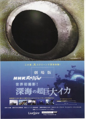 NHKスペシャル 世界初撮影！深海の超巨大イカ (2013)