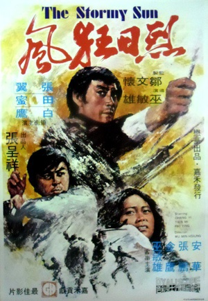 烈日狂风 (1973)