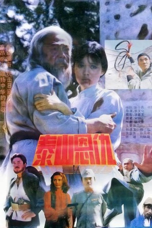 泰山恩仇 (1991)