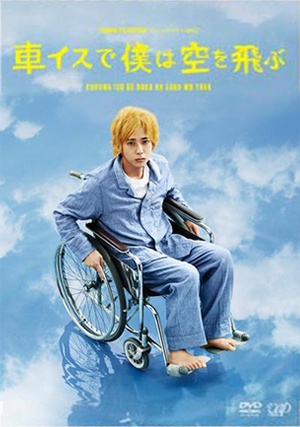 坐着轮椅飞上天空 (2012)