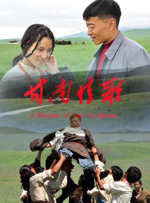 甘南情歌 (2013)