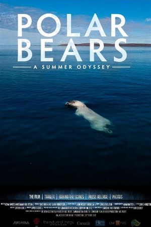 北极熊：一个夏天的奥德赛 (2012)
