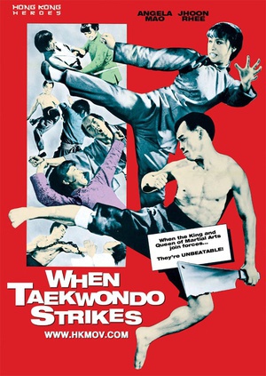 跆拳震九州 (1973)