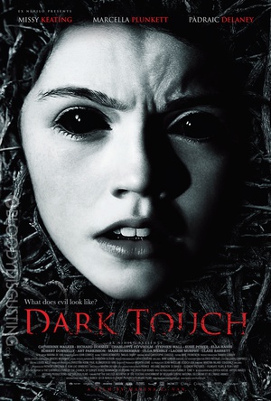 黑暗中的触摸 (2013)