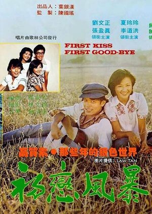 初恋风暴 (1978)