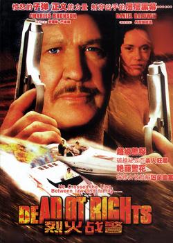 烈火战警 (1993)