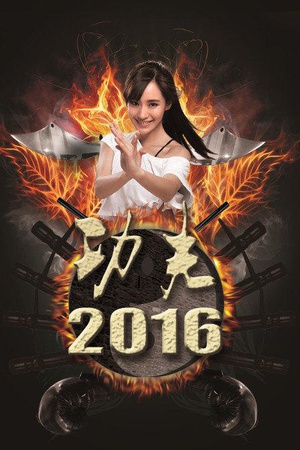 功夫2016 (2016)