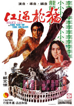 猛龙过江 (1972)