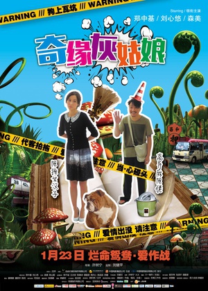 奇缘灰姑娘 (2014)