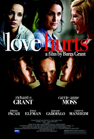 爱受伤 (2009)