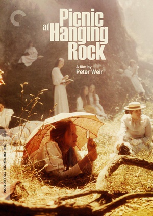 悬崖上的野餐 (1975)