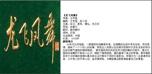 龙飞凤舞 (1999)