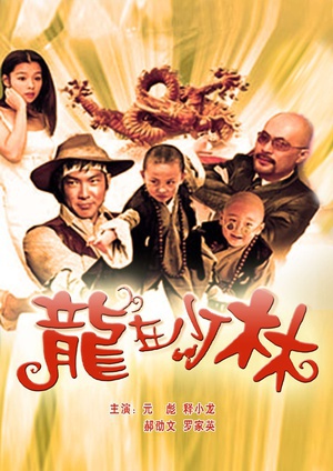 龙在少林 (1996)