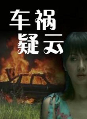 车祸疑云 (2009)
