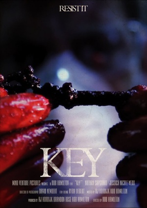 解剖手术中的钥匙 (2011)