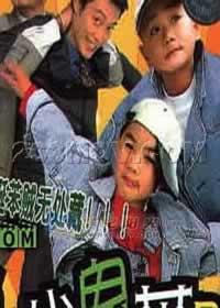 聪明小鬼斗笨贼 (2002)