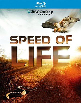 探索频道：生命的速度 (2010)