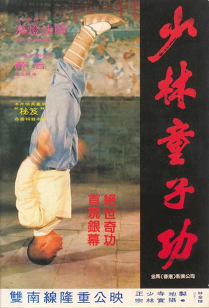 少林童子功 (1984)