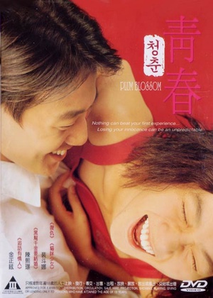 青春 (2000)