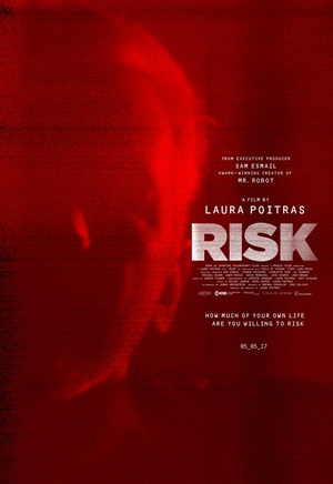 风险 (2016)