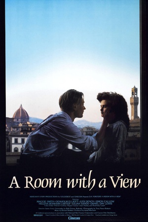 看得见风景的房间 (1985)