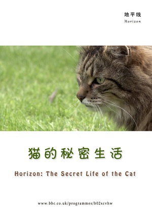 猫的秘密生活 (2013)